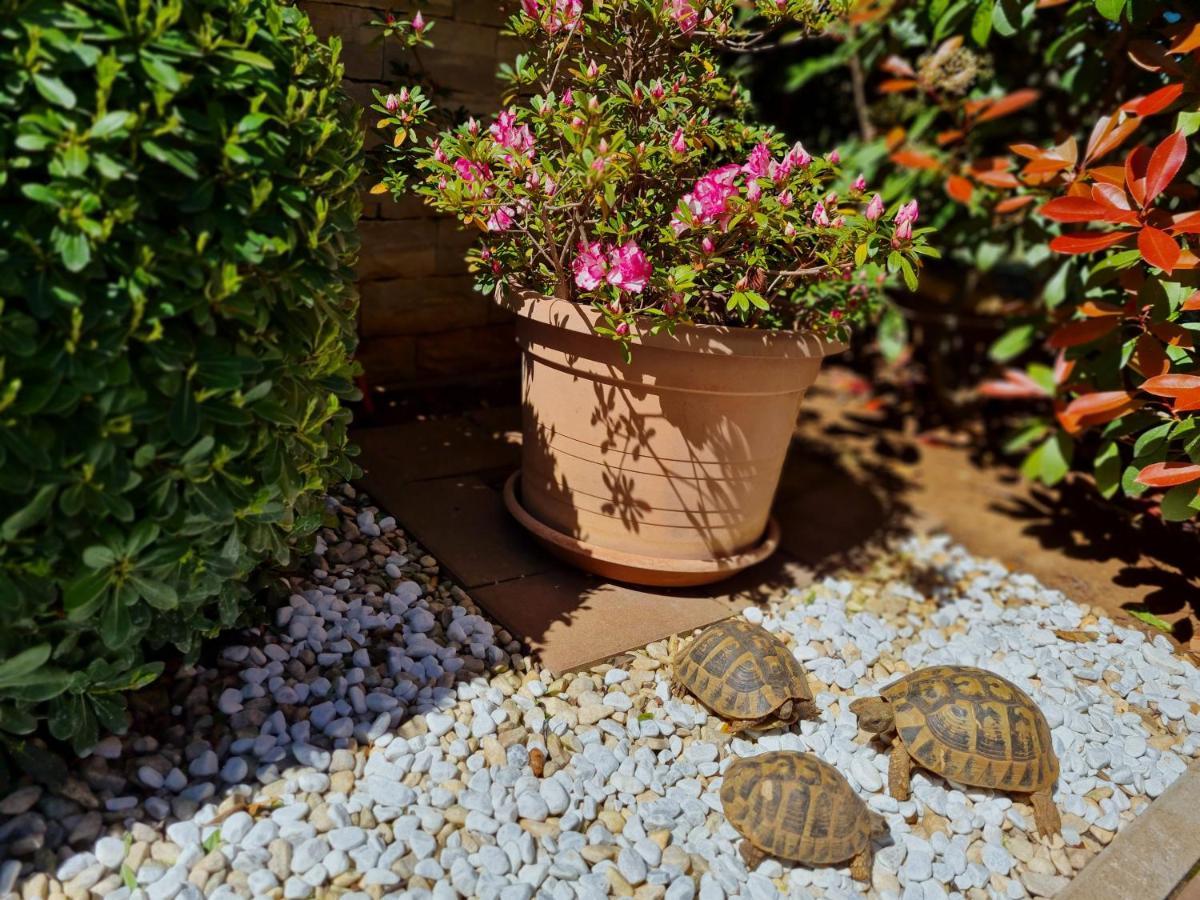 Holiday Home Drago Zadar Buitenkant foto